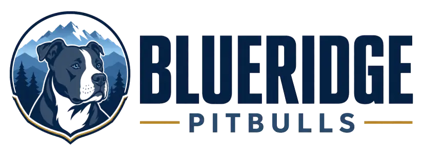 Blueridge Pitbulls Puppies 